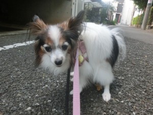 CIMG0236