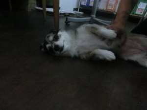 CIMG0237