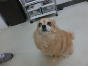 CIMG0242