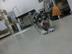 CIMG0242