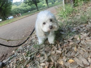 CIMG0244