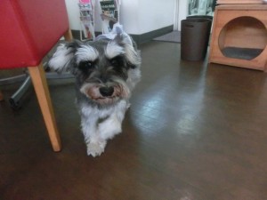 CIMG0246