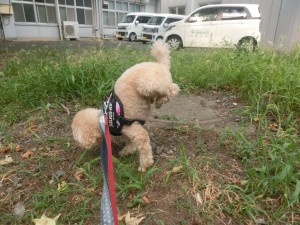 CIMG0248