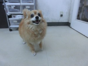 CIMG0256
