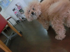 CIMG0260