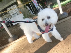 CIMG0265