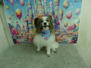 CIMG0271