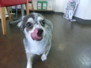 CIMG0271