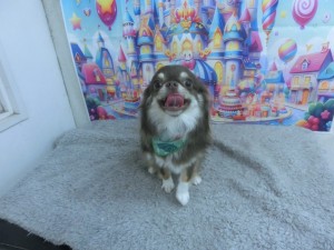 CIMG0272