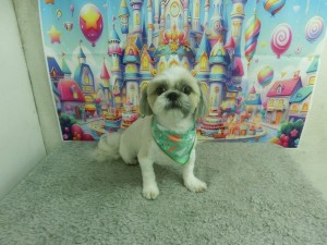 CIMG0273