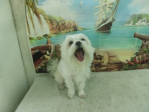 CIMG0276