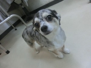 CIMG0282