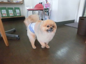 CIMG0283