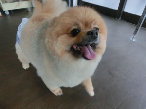 CIMG0287