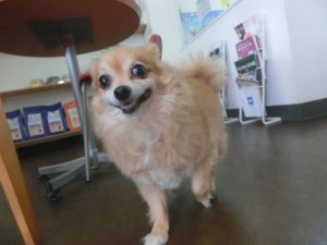 CIMG0287