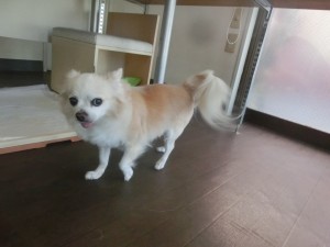 CIMG0290