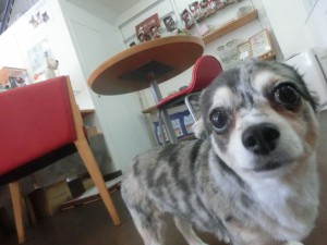 CIMG0290