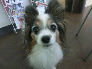 CIMG0292