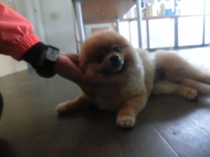 CIMG0293