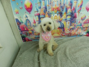 CIMG0297
