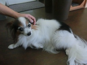 CIMG0297