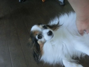 CIMG0302