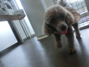 CIMG0313