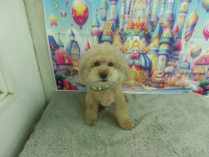 CIMG0319
