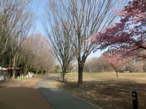 CIMG0319