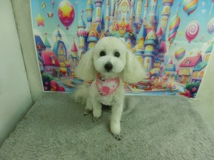 CIMG0322