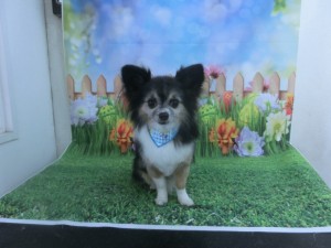 CIMG0322