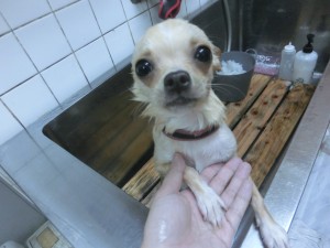 CIMG0323