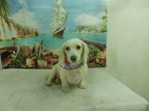 CIMG0323