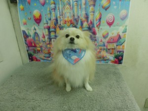 CIMG0324