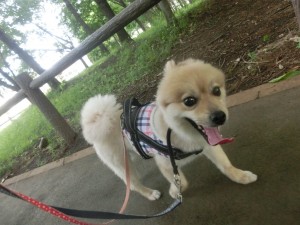 CIMG0325
