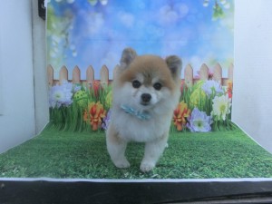 CIMG0331