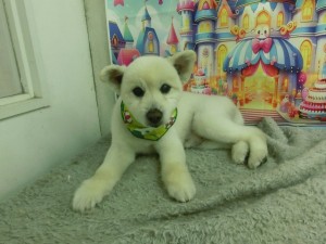 CIMG0333