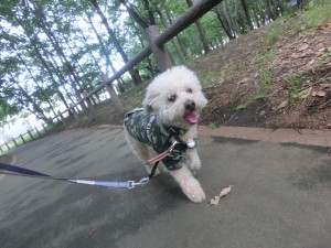 CIMG0336