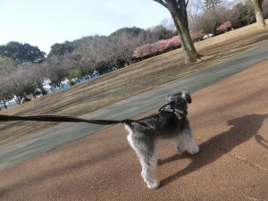 CIMG0343
