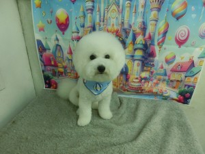 CIMG0344