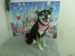 CIMG0349