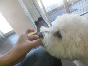 CIMG0356