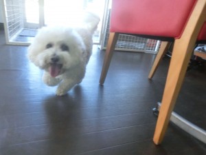 CIMG0358