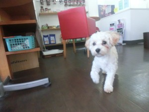 CIMG0358