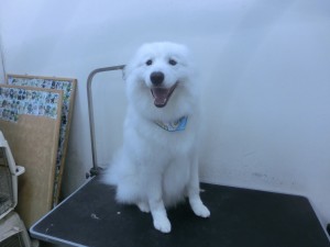 CIMG0361