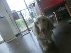 CIMG0363