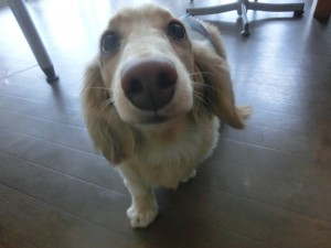 CIMG0365