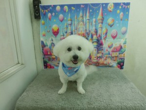 CIMG0366