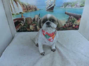 CIMG0367
