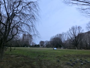 CIMG0368